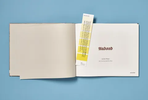 phelps_andrew-haboob_04