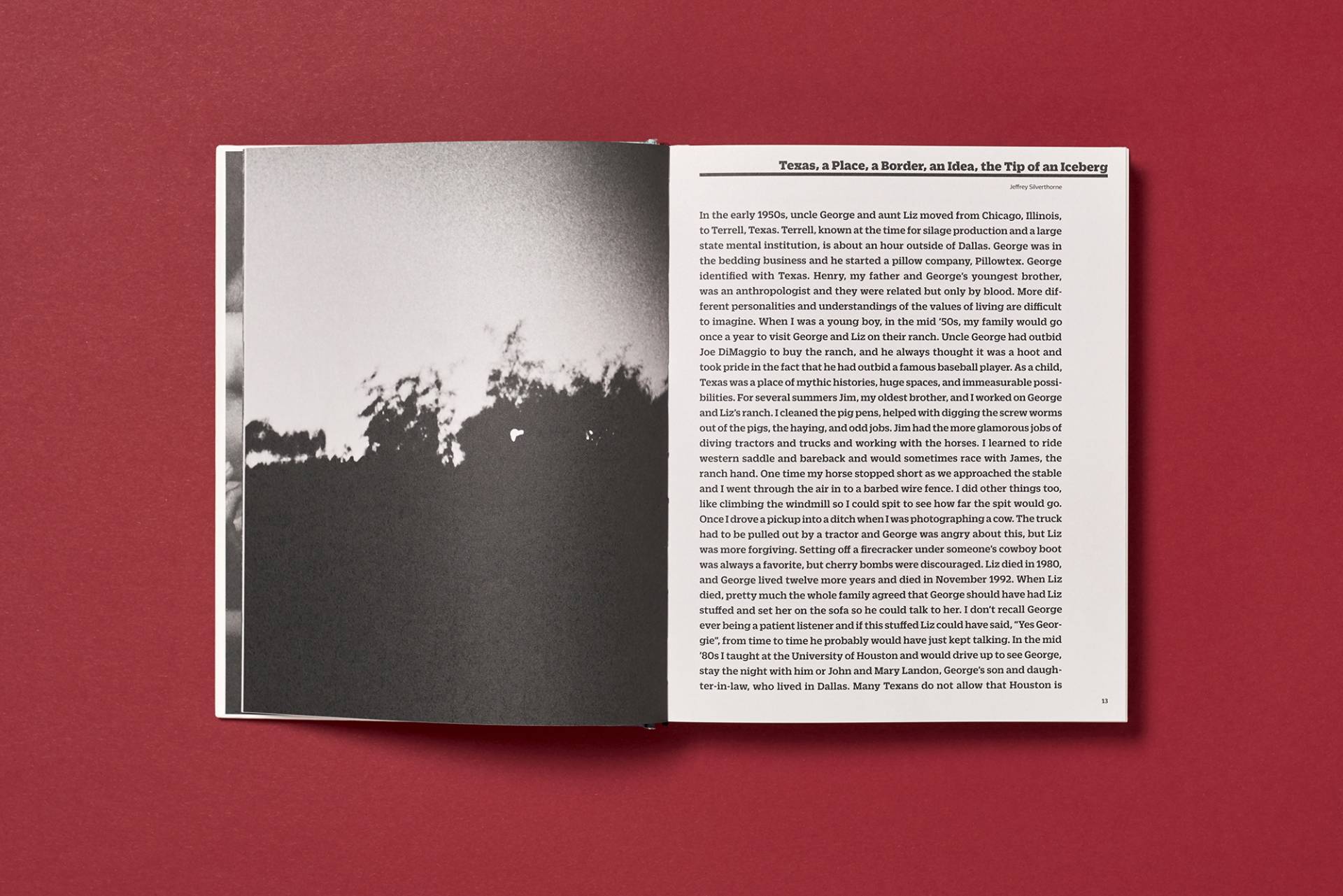 silverthorne_jeffrey_works_05