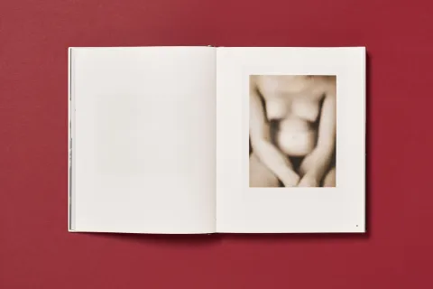 silverthorne_jeffrey_works_07