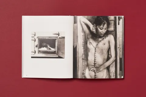 silverthorne_jeffrey_works_10