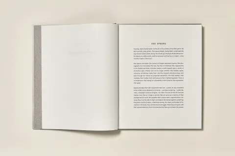 speers_vee_bulletproof_04