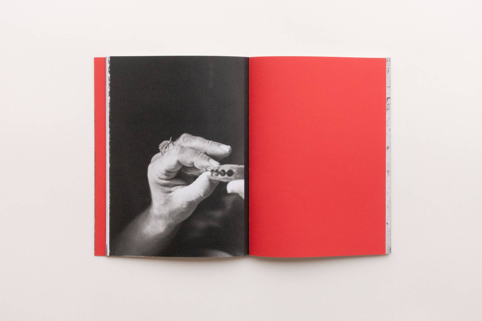 walking_distance__16