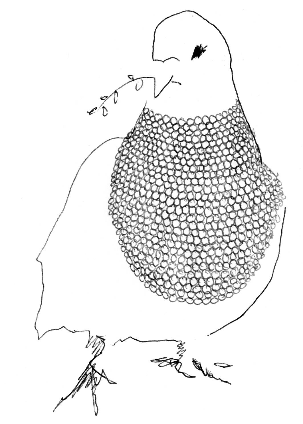 friedentaube_save_peace-ohne_schriftzug