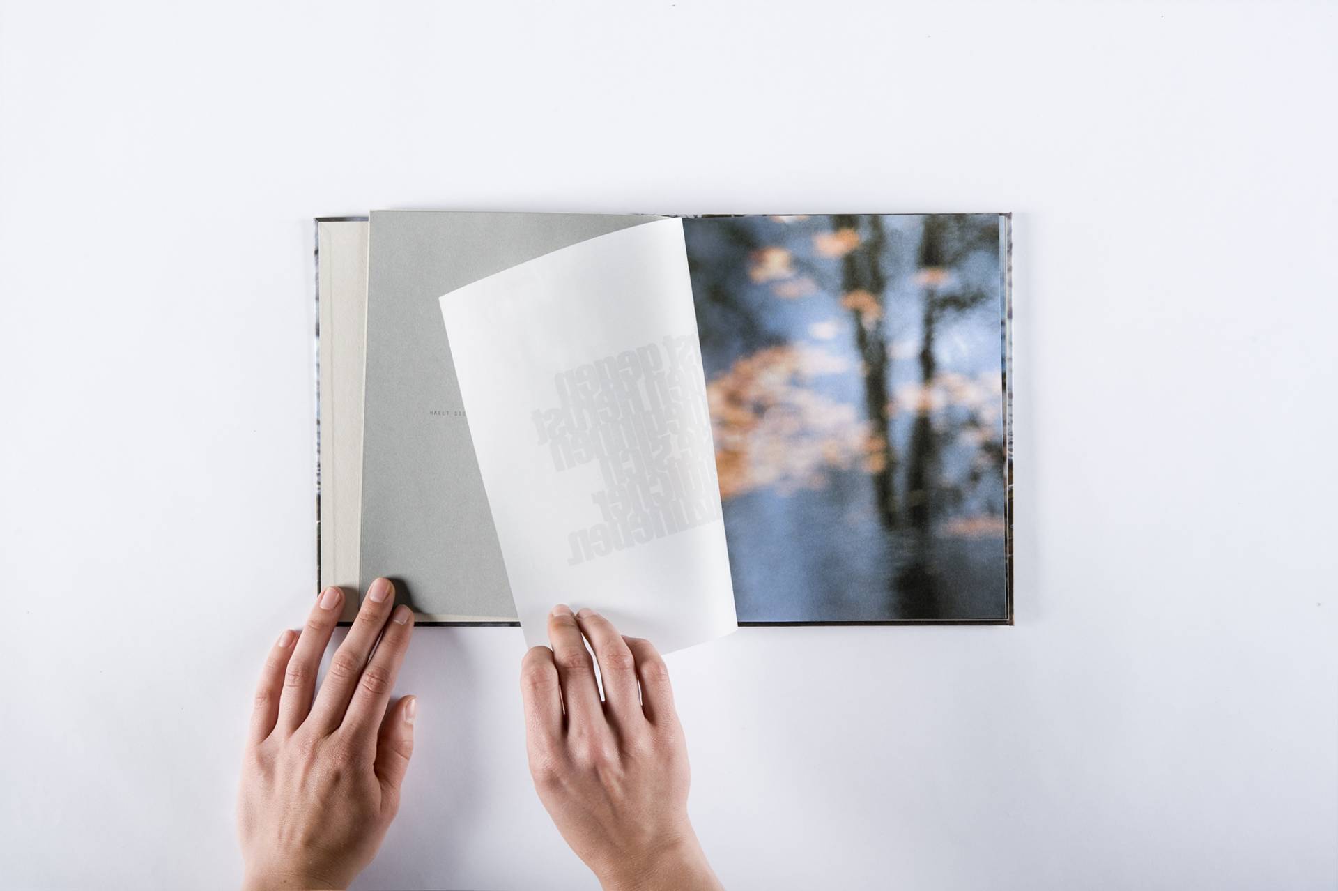 aichinger_ilse-seegeister_04