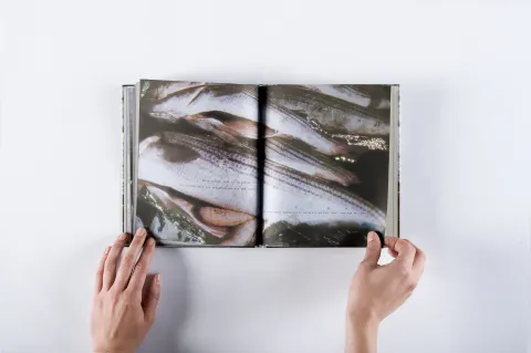 aichinger_ilse-seegeister_11