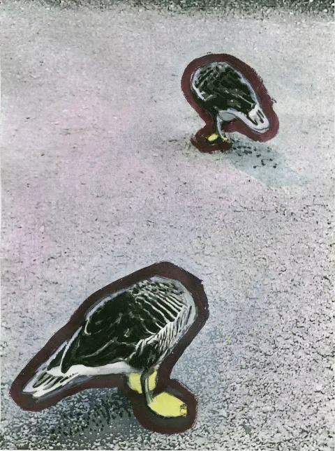 nicht_den_kopf_verlieren