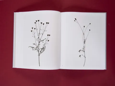 am_weg_hans-christian-schink_251010__32