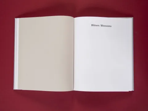 am_weg_hans-christian-schink_251010__23