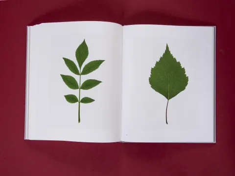 am_weg_hans-christian-schink_251010__36