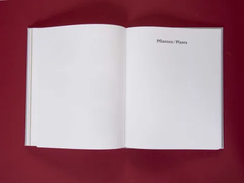 am_weg_hans-christian-schink_251010__30