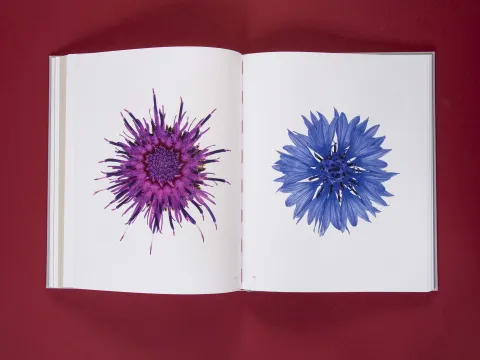 am_weg_hans-christian-schink_251010__26