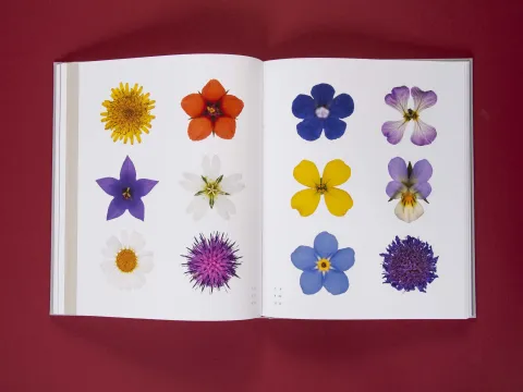 am_weg_hans-christian-schink_251010__24