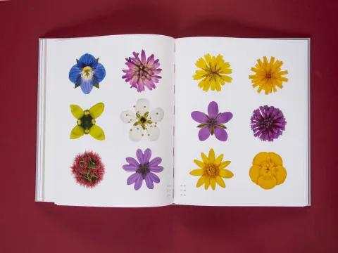 am_weg_hans-christian-schink_251010__29