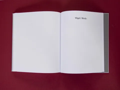 am_weg_hans-christian-schink_251010__39