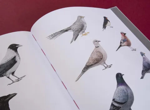 am_weg_hans-christian-schink_251010__43