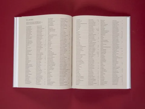 am_weg_hans-christian-schink_251010__21