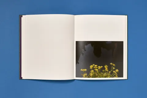 backhaus_jessi-once_still-forever_13