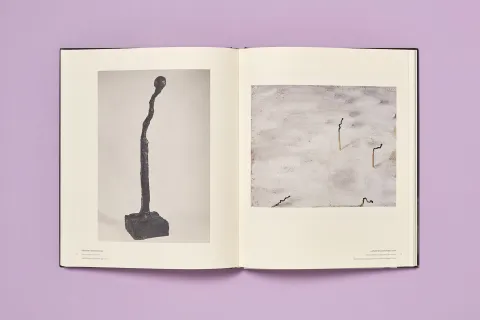 barcelo_michel_kunstforum_wien_10