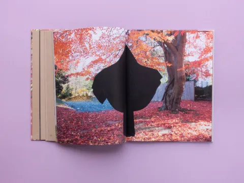 betweenness_lili_almog_8