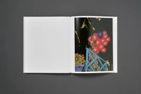 conrad_anja-everything_is_always_15