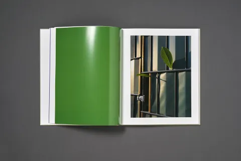 conrad_anja-everything_is_always_10