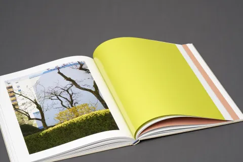 conrad_anja-everything_is_always_17