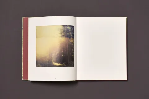 froehlich_simon-wald_05