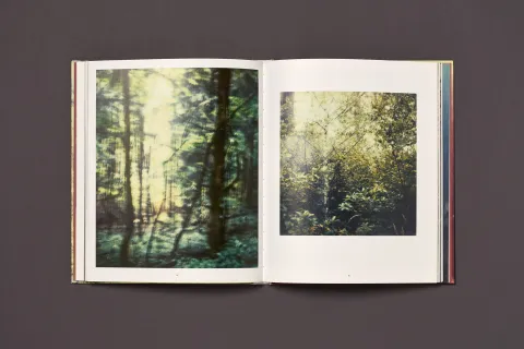 froehlich_simon-wald_10