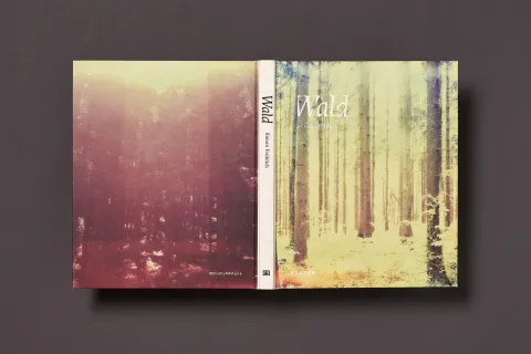 froehlich_simon-wald_01