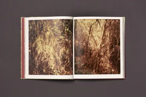 froehlich_simon-wald_06