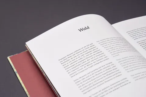 froehlich_simon-wald_18