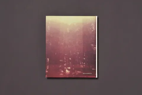 froehlich_simon-wald_03