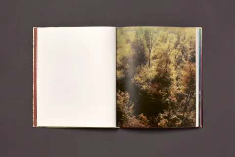 froehlich_simon-wald_07