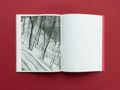 graubaum_und_himmelmeer_loredana_nemes__16