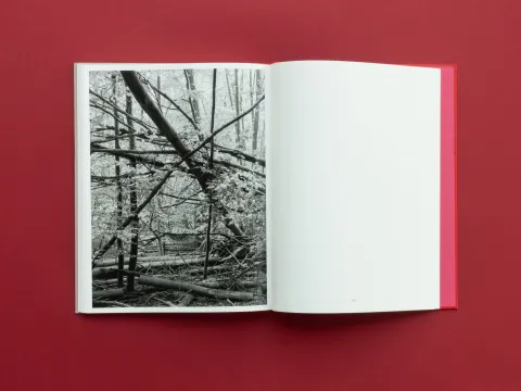 graubaum_und_himmelmeer_loredana_nemes__21