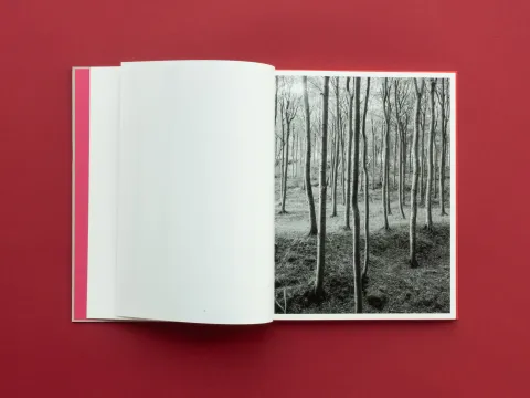 graubaum_und_himmelmeer_loredana_nemes__4