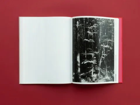 graubaum_und_himmelmeer_loredana_nemes__18