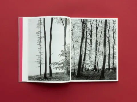 graubaum_und_himmelmeer_loredana_nemes__6