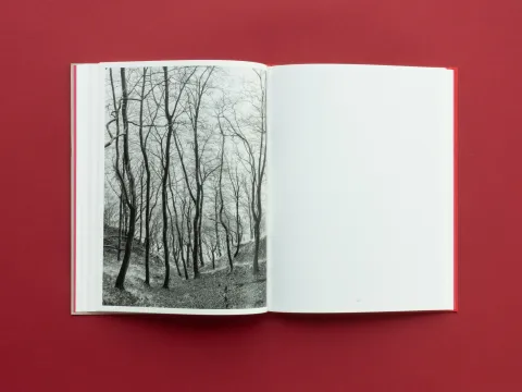 graubaum_und_himmelmeer_loredana_nemes__11