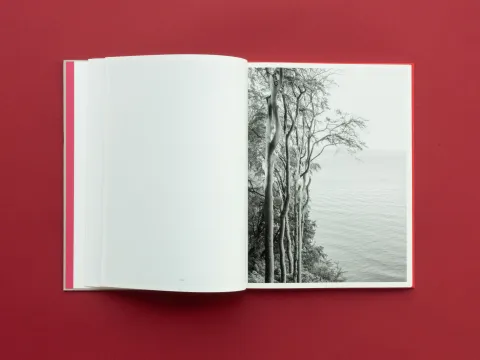 graubaum_und_himmelmeer_loredana_nemes__7