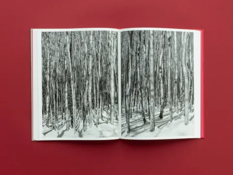 graubaum_und_himmelmeer_loredana_nemes__15