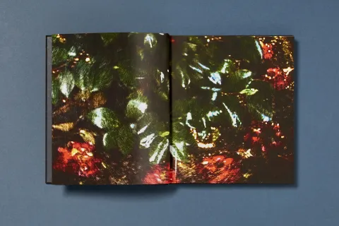 ramirez_joe-gold_projections_05