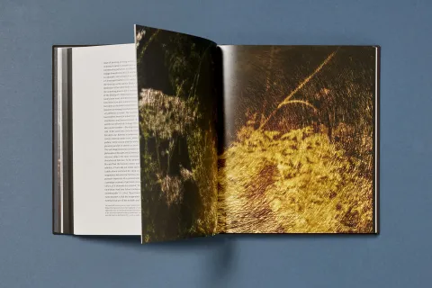 ramirez_joe-gold_projections_09