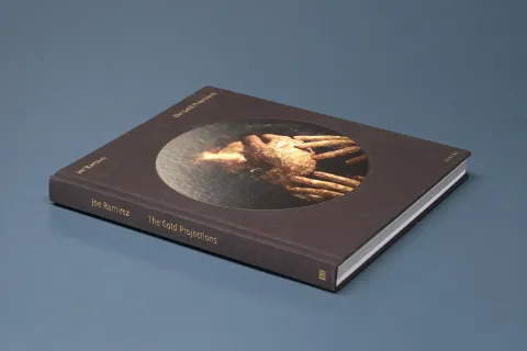 ramirez_joe-gold_projections_01