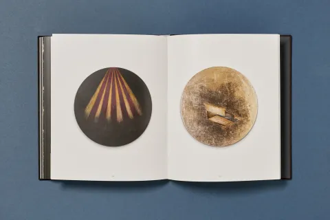 ramirez_joe-gold_projections_15