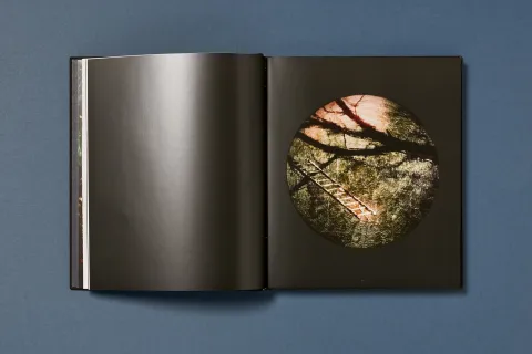 ramirez_joe-gold_projections_07