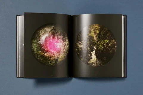 ramirez_joe-gold_projections_13