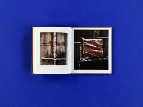 metropolis_sunday_matthias_forster08