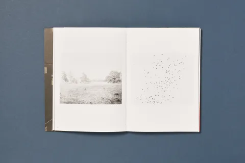 monteleone_davide-april_theses_08