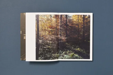 monteleone_davide-april_theses_07